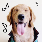 Sounds Dogs Love - Play with your Dog -  Dogify