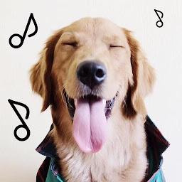 Icon image Dogify: Sounds Dogs Love