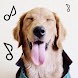 Dogify: Sounds Dogs Love - Androidアプリ