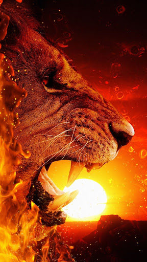 Download Lion King Wallpaper Free for Android - Lion King Wallpaper APK  Download 