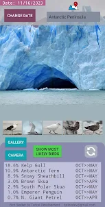 Bird Seeker Antarctica