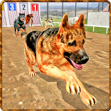 Dog Stunt Training 3D icon