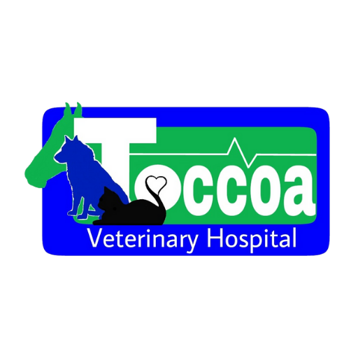 Toccoa Vet logo