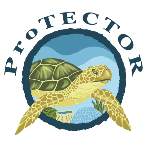 Turt Google Play のアプリ