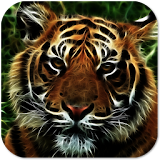 Neon Tiger Live Wallpaper + icon