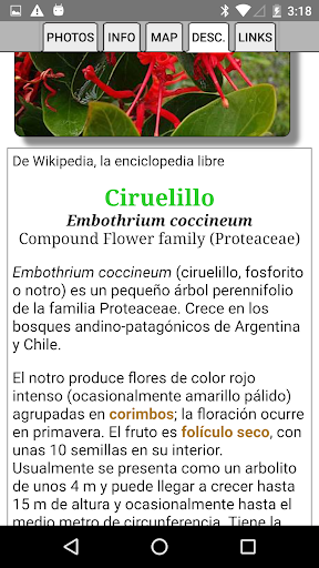 Argentina Wildflowers screenshot 6