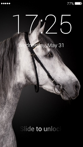 Horses Lock Screen Screen 3