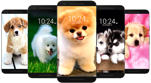 Dog Wallpaper HD android2mod screenshots 1