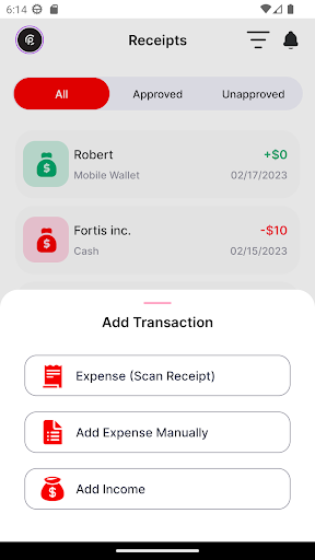 CPA Expense Tracker Screen 2