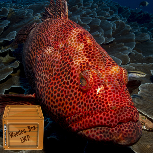 red fish wallpaper logo