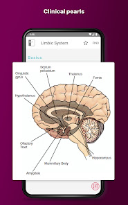 Captura 12 PsychNotes: Clinical Pkt Guide android