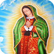 Virgen de Guadalupe Imagenes y Frases
