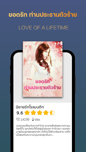 MooBook Screen 3