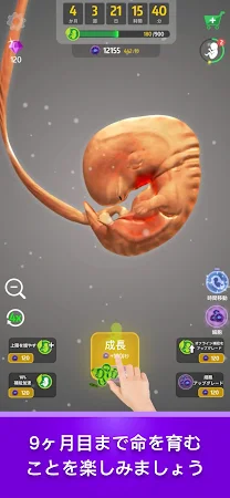 Game screenshot 胎児育成シミュレーター (Idle 9 Months) hack