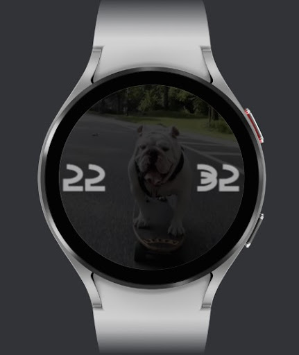 FURRY FRIEND - DOGGY COOL Screen 2