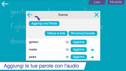Immagine screenshot