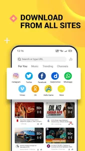Snap All Tube Video Downloader