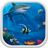 Aquarium theme and Launcher icon