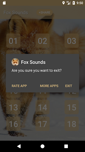Fox Sounds and Ringtone Screen 3