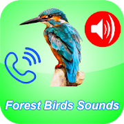 Birds Songs As Phone Ringtone