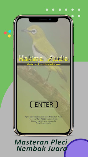 Masteran Pleci Nembak Juara Screen 2