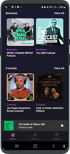 PodcastFlix - Podcasts Screen 3