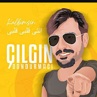 Çılgın dondurmacı musica album