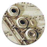 Flute Fingering Chart icon
