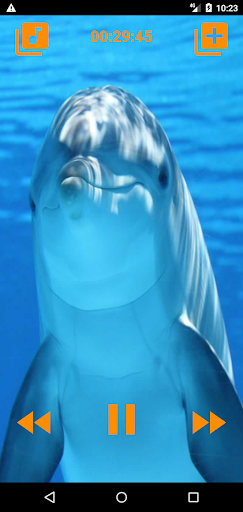 Android application Dolphins songs to sleep screenshort