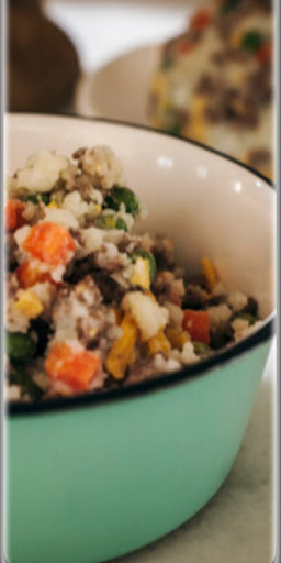 home made dog food recipe Screen 2