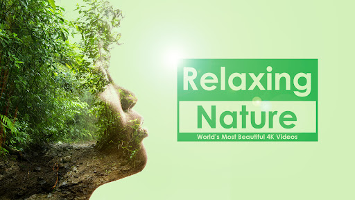 Screenshot of Relaxing Nature