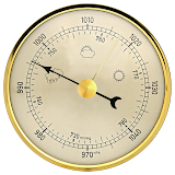 Professional barometer icon