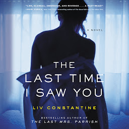 Obraz ikony: The Last Time I Saw You: A Novel