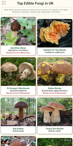 Android application Shroomify - Mushroom Identific screenshort