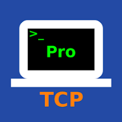TCP Terminal Pro