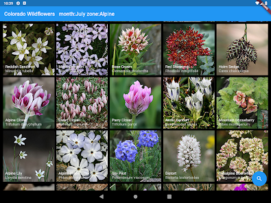 Colorado Wildflowers Guide Apps On