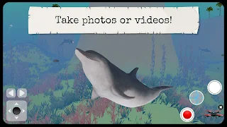 Animal Wild Safari (Full) - Screenshot 2