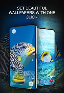 Your Wallpapers with Fishes