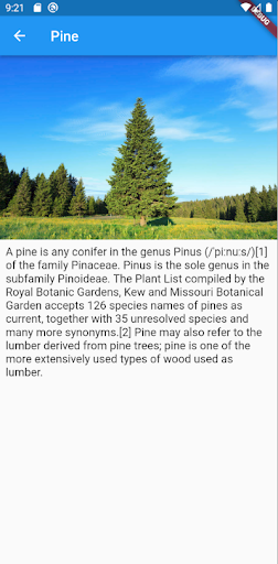 simple pine tree Screen 2