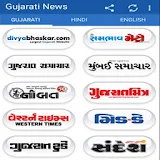 Gujarati News All Newspapers icon