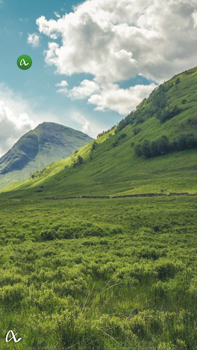 Picox Aura I Activity Studio