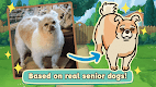 screenshot of Old Friends Dog Game