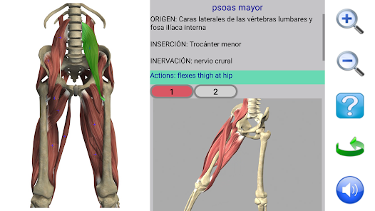 Imágen 3 Visual Anatomy 2 android