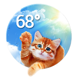 Weather Whiskers App & Widget icon