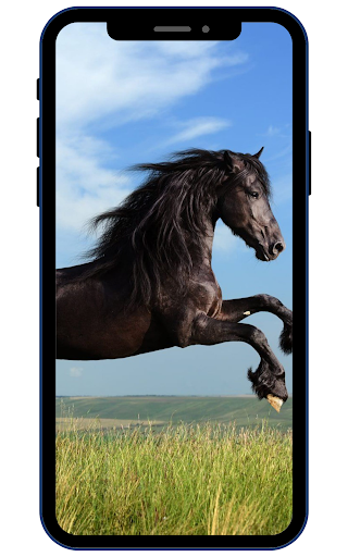 Horse Wallpapers Screen 2