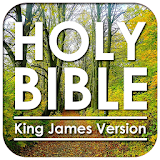 Holy Bible King James Version : KJV Free Offline icon
