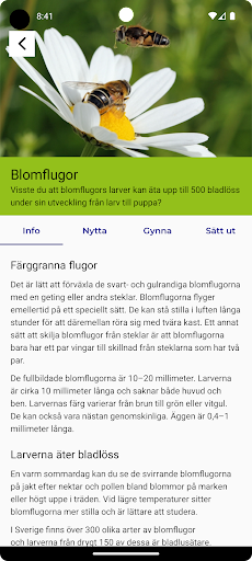 Nyttodjur Screen 3