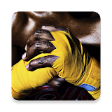 Boxing Stars Wallpaper icon