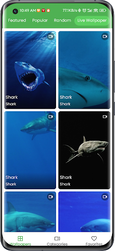 Android application 3D Shark in the Live Wallpaper screenshort