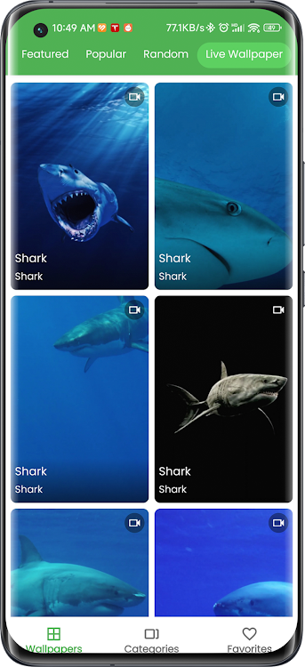 3D Shark in the Live Wallpaper - 1.2.2 - (Android)
